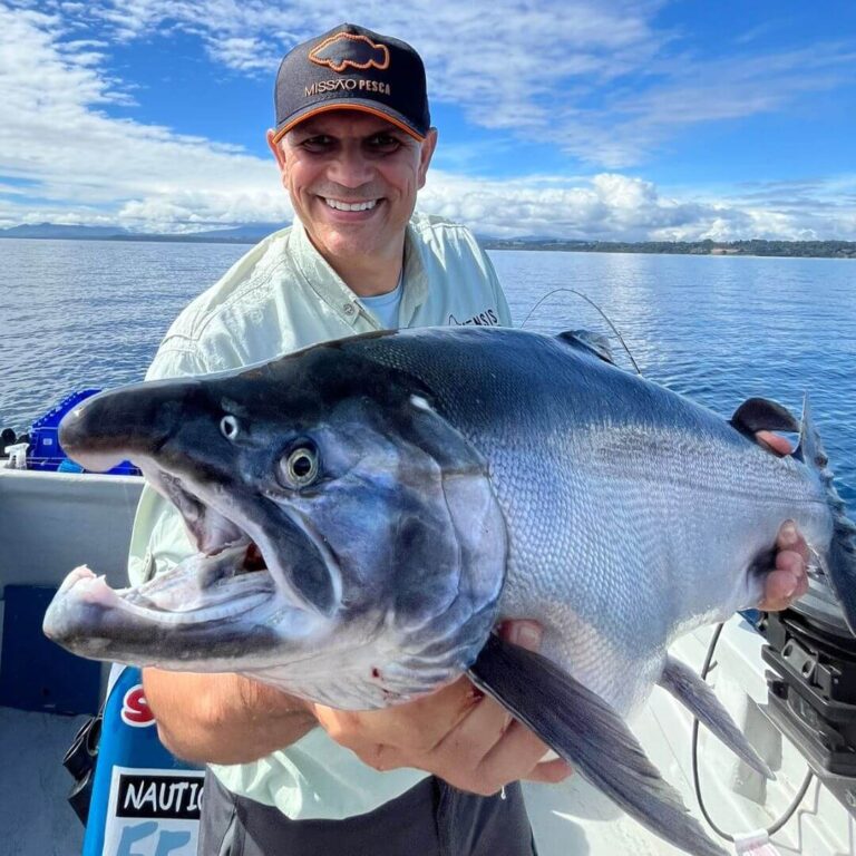Salmao coho